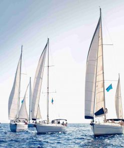 Sailing ship yachts with white sails in a row